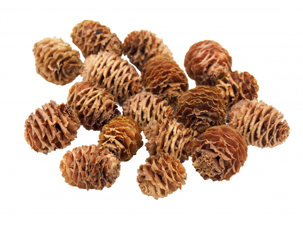 tischdeko weihnachten zapfen 200g zapfen strictum natur deko tischdeko weihnachten tischdeko weihnachten zapfen 200g zapfen strictum natur deko tischdeko weihnachten